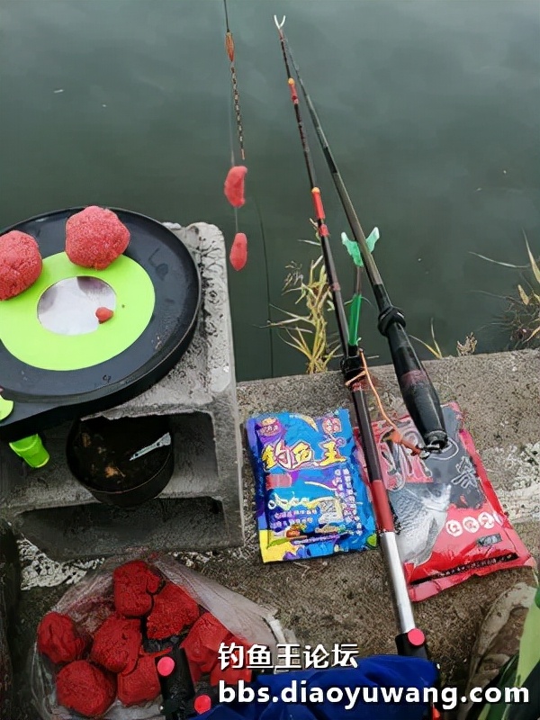 寒潮風雨襲膠河，大板鯽魚護中來