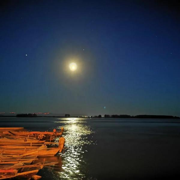 臨江仙.江城秋葉