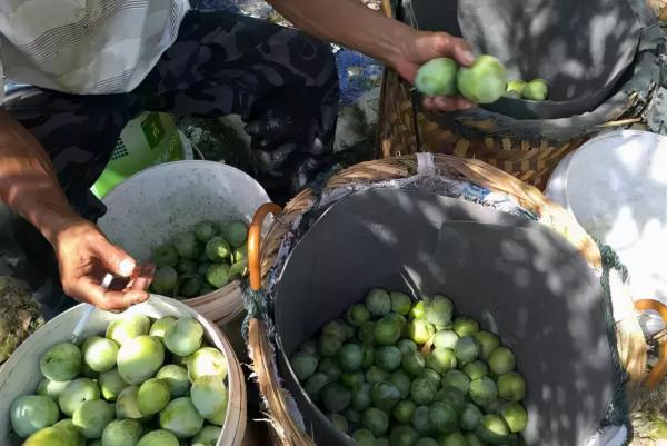 福建好吃又好看的水果