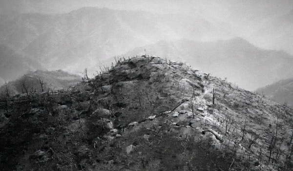 為保證上甘嶺戰役的勝利，志願軍總部下令：15軍要什麼給什麼