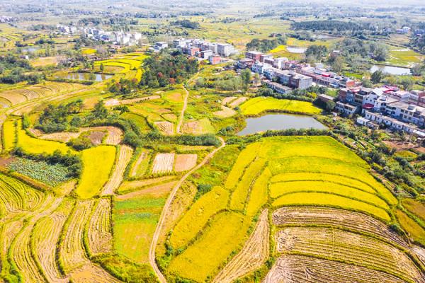 “將軍村”田園如畫，村民勤勞樸實，一幅畫面一首歌，聲聲醉人心