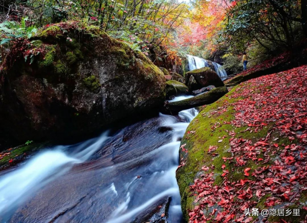 秦嶺紅葉房開售 | 一座座山間小屋，藏著秦嶺最美的秋