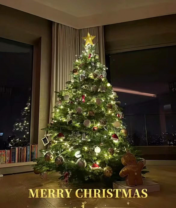 10個明星家庭過聖誕：有人發全家福曬孩子，有人曬聖誕樹曝光豪宅