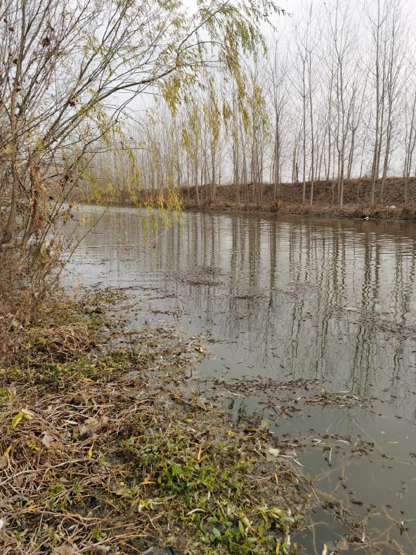 回顧近期垂釣經歷,總結經驗以利再戰 回顧近期垂釣經歷,總結經驗以利再戰