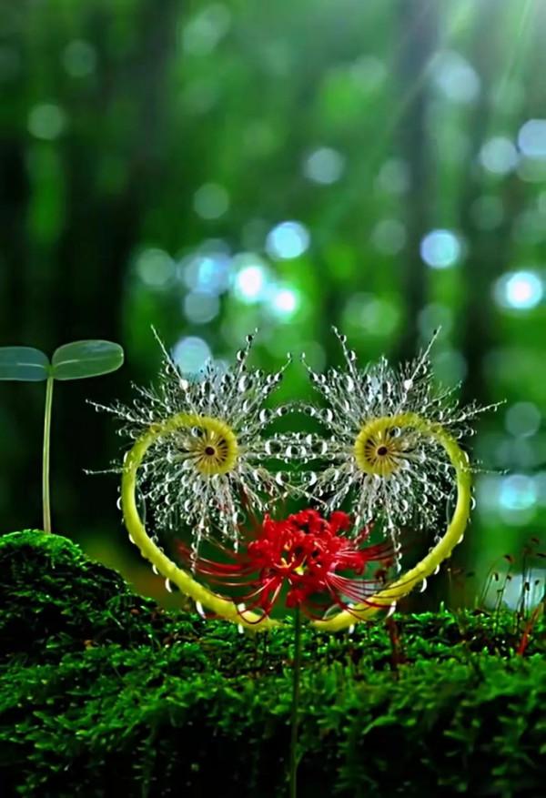 美景：大自然多姿多彩的饋贈