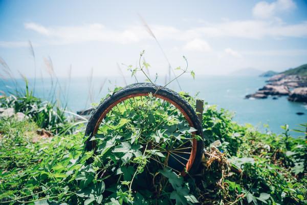 青浜島，浮華塵世外的“海上布達拉宮”，去當幾日快樂島民