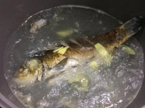 鯽魚豆腐湯這樣做,奶白無腥味,營養鮮美很好喝 鯽魚豆腐湯這樣做,奶白無腥味,營養鮮美很好喝