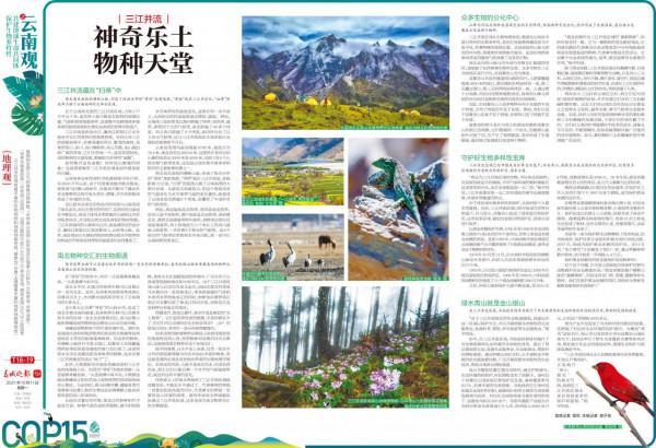 神奇樂土物種天堂 神奇樂土物種天堂