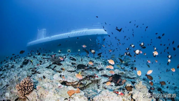 不會游泳也可以去找小丑魚跳海草舞！盤點全球可以坐潛水艇的景點