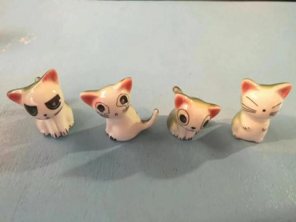 2018年11月13日，同裡之行