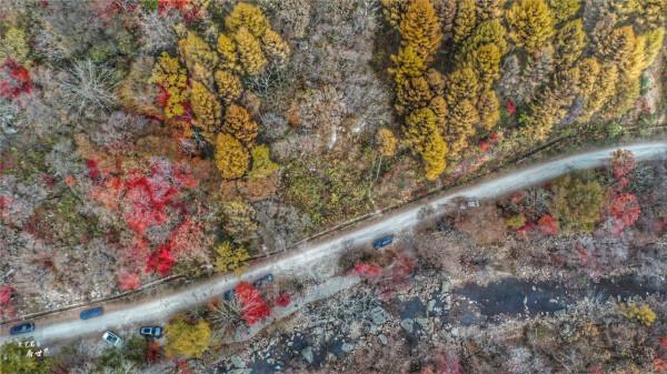 本溪有一個可以自駕遊覽的景區，觀賞紅葉絕美，今年秋天不能錯過