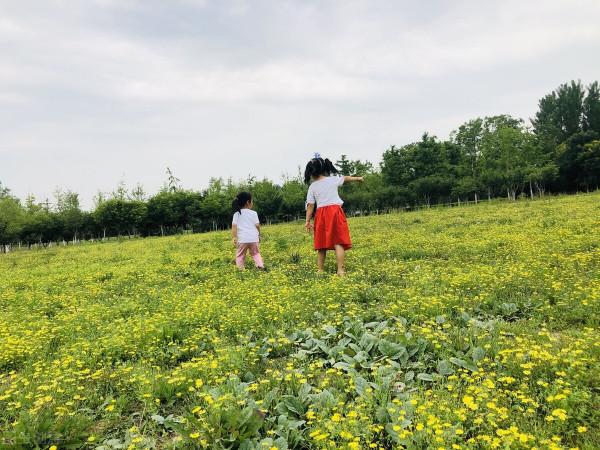 火筷子燙髮,學閏土捕鳥,人到中年,還記得那些傻傻的童年往事嗎 火筷子燙髮,學閏土捕鳥,人到中年,還記得那些傻傻的童年往事嗎