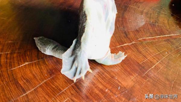 這才是廣東水魚雞正宗的做法,教你挑水魚和烹煮小技巧,值得收藏 這才是廣東水魚雞正宗的做法,教你挑水魚和烹煮小技巧,值得收藏