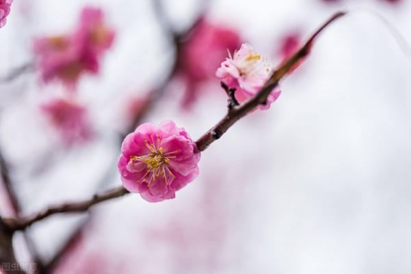 美景的初戀 美景的初戀