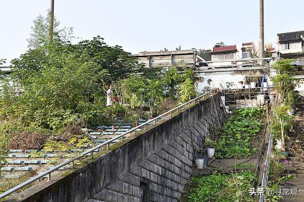 這個荒草叢生的重慶力帆足球場，會是更多俱樂部的結局嗎？