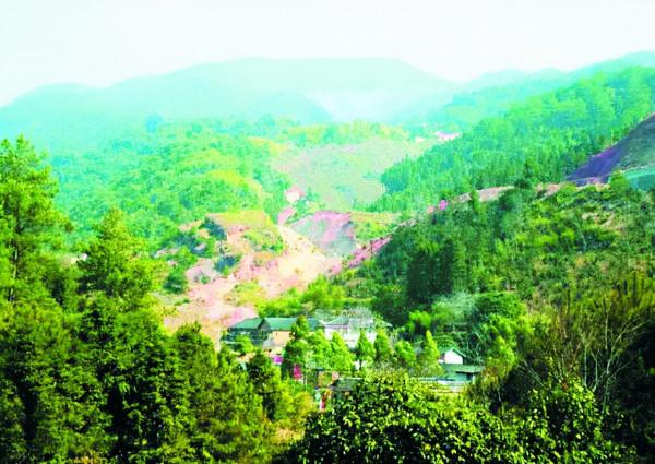 毛澤東在永定金豐大山秘密養病故事