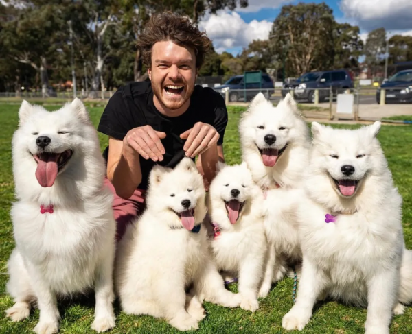 澳洲小哥靠一組照片成為“年度網紅”:絕了,每隻動物都會笑? 澳洲小哥靠一組照片成為“年度網紅”:絕了,每隻動物都會笑?