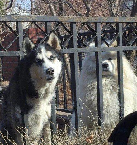 盤點明星搞笑事件