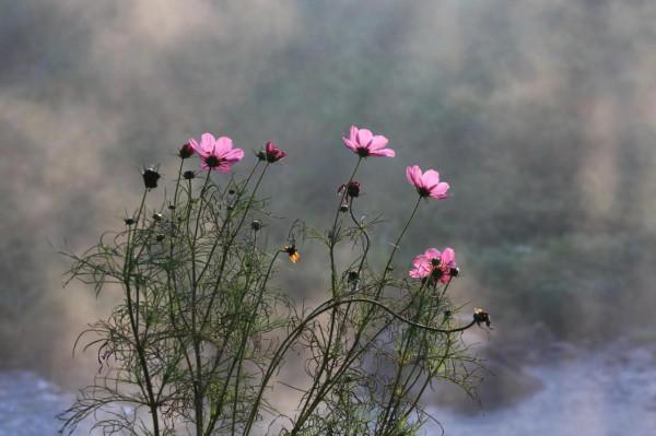 深秋美景繽紛如畫 深秋美景繽紛如畫