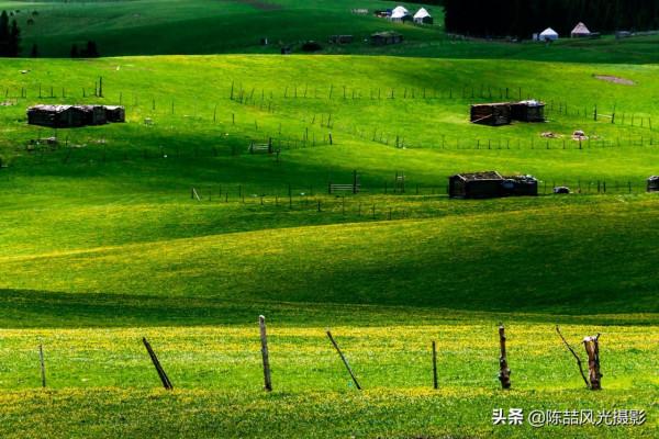 2017年5月26日 新疆喀拉峻大草原