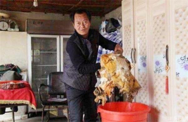 6年前,那個撿到太歲一夜暴富的遼寧農民王承德,後來創業去了 6年前,那個撿到太歲一夜暴富的遼寧農民王承德,後來創業去了