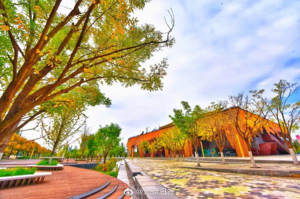 延慶區賞紅葉指南→