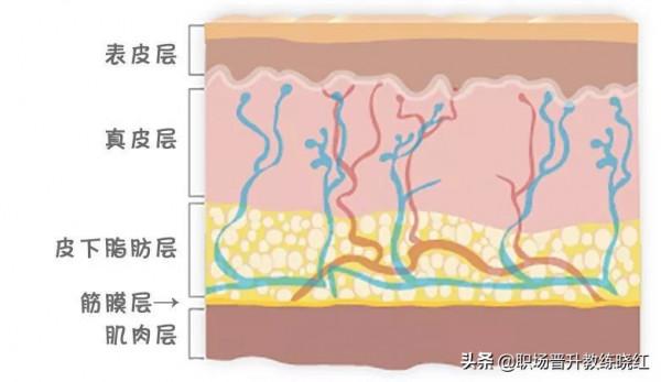 為什麼練習瑜伽的女人更顯年輕？