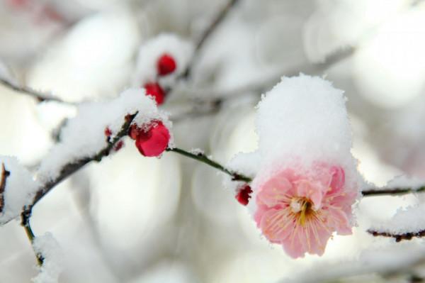 旅行帶來了什麼？