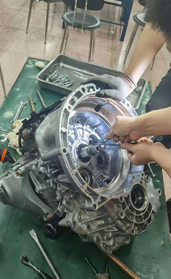 看！人家的假期