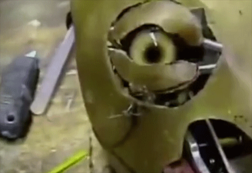 把馬推下懸崖、炸死功勳犬，為了所謂的藝術，他們什麼都乾的出來