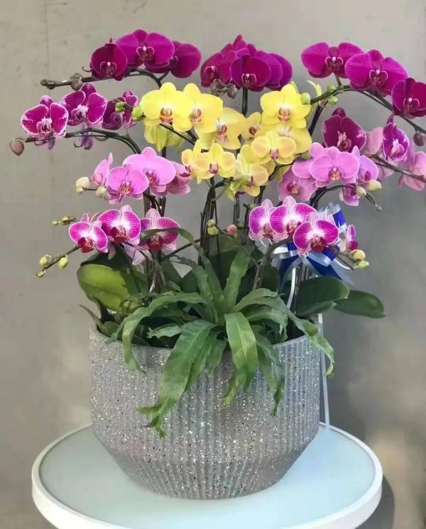 掌握這7個好習慣，讓你收穫不一樣的人生