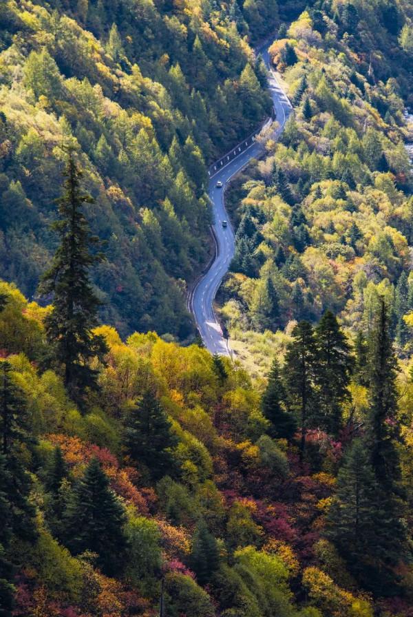 京郊藏了一條絕美國道，承包了京城最美秋色，秋意正濃，如詩如畫
