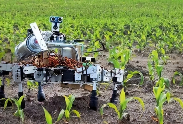 “採摘機器人”自動行走識嫩芽,浙江341畝茶園試推廣,智慧農業 “採摘機器人”自動行走識嫩芽,浙江341畝茶園試推廣,智慧農業