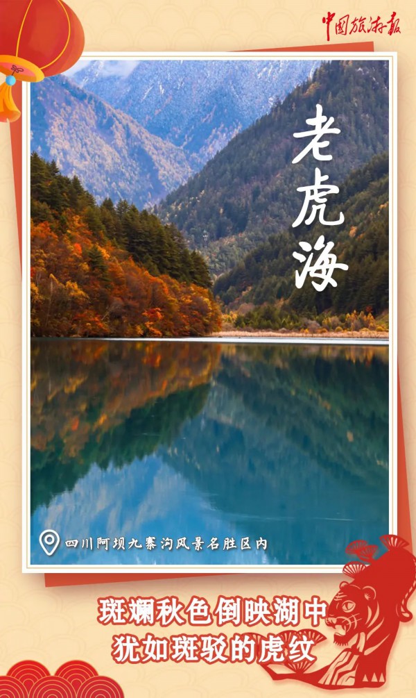 虎年遊“虎”景，“虎”氣滿滿說的就是你