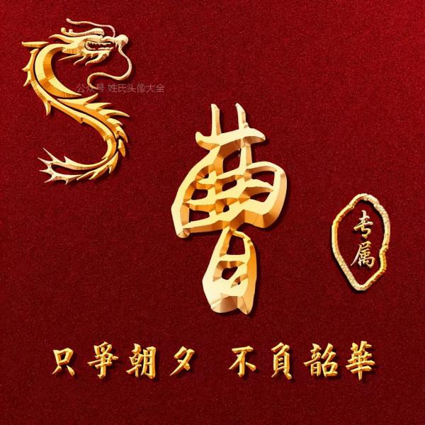 200張正能量姓氏頭像，張張精品，只爭朝夕 不負韶華