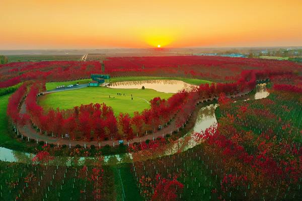 長三角這9條美麗鄉村休閒旅遊行（秋季）路線，你走過幾條？