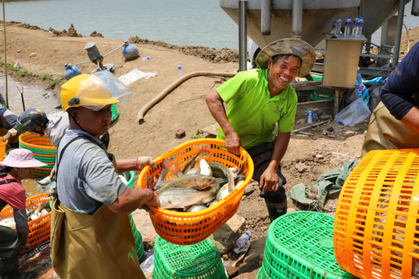 一年產值超3億元！這條魚讓村民住別墅開豪車，成養魚億元村