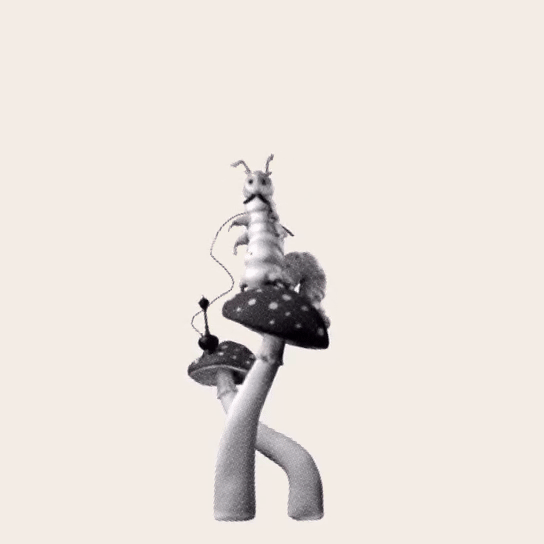 2021爆火的國際大展來中國啦，你也想掉進愛麗絲的兔子洞嗎？