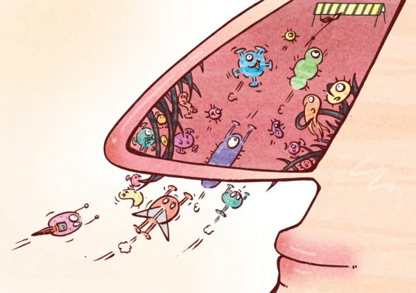 「漫繪科普」流感病毒入侵人體全過程 「漫繪科普」流感病毒入侵人體全過程