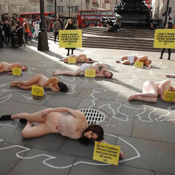世界素食日，英國人在倫敦廣場上上演了一場“死亡儀式”