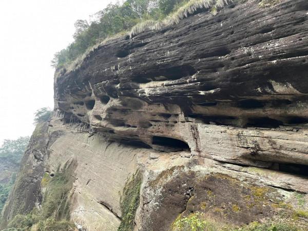 小姐姐們一起走進武夷山正巖茶產區