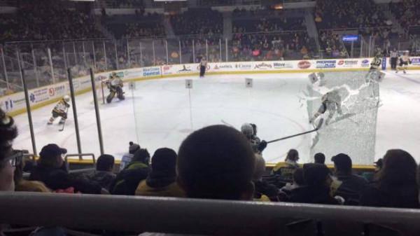 1891歲大樹的年輪，大象推翻汽車，喜鵲騎著白頭鷹，鬣狗飼養員