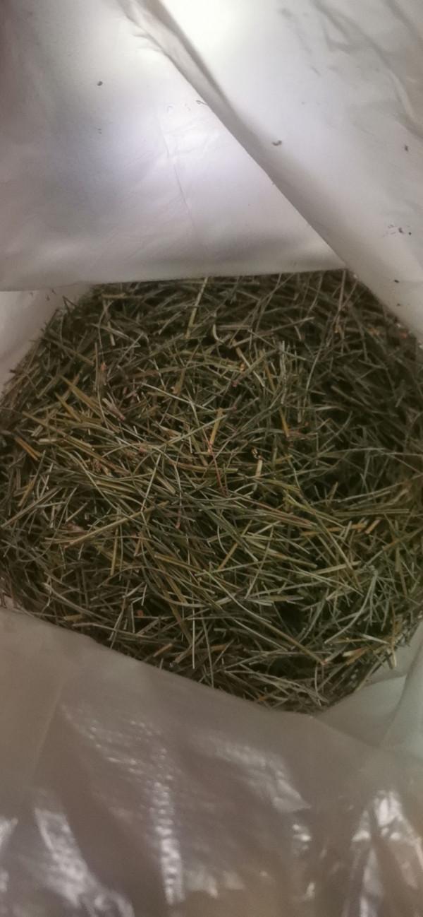 別隻會用營養土，4種東西加土裡，營養和透氣性超級加倍