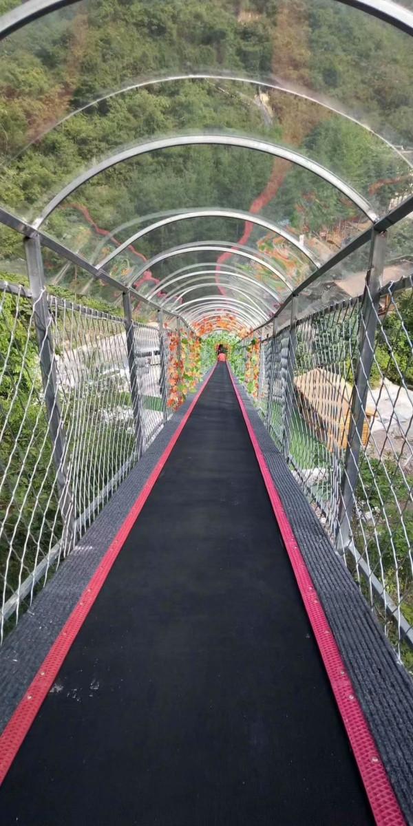 魔毯為什麼越來越受歡迎