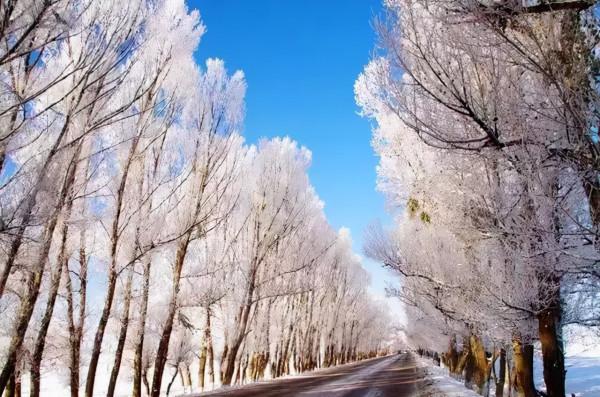 新疆霧凇,這才是完美冬天的開啟方式,真正的冰雪王國... 新疆霧凇,這才是完美冬天的開啟方式,真正的冰雪王國...