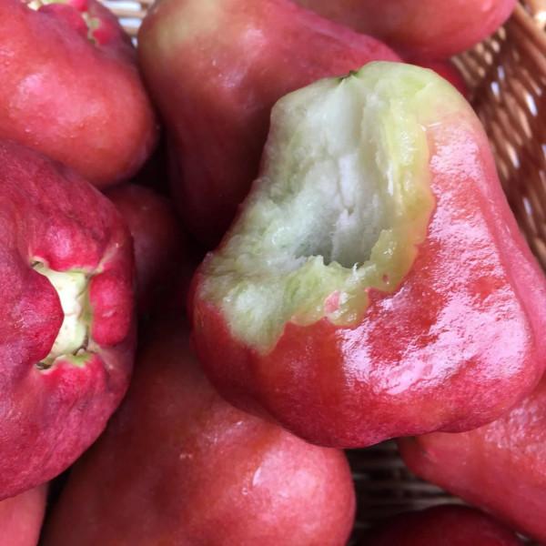 蓮霧：香甜爽脆