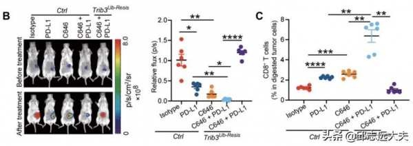 《科學》子刊：北京協和醫院團隊破解腸癌“排斥”T細胞之謎