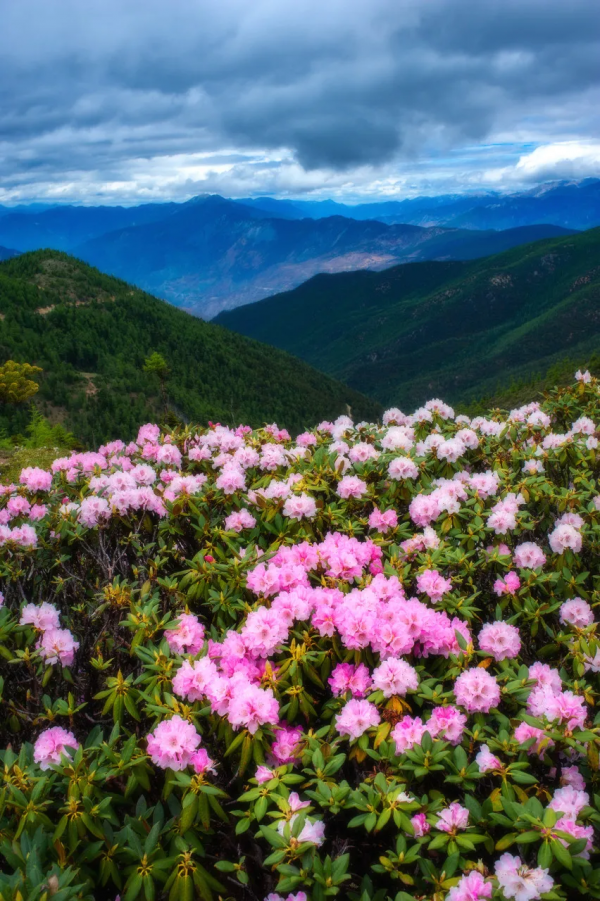 預測！2022必火的自駕旅行清單！先收藏