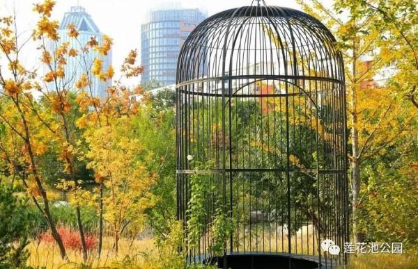 【FENG景】創森動態 | 蓮花池公園多彩的秋天