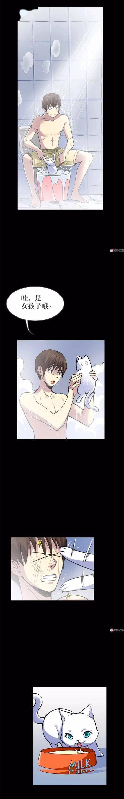 漫畫｜人性篇：會做飯的網紅貓咪